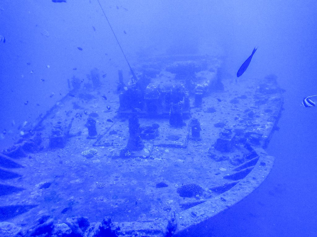 ワイキキダイビング